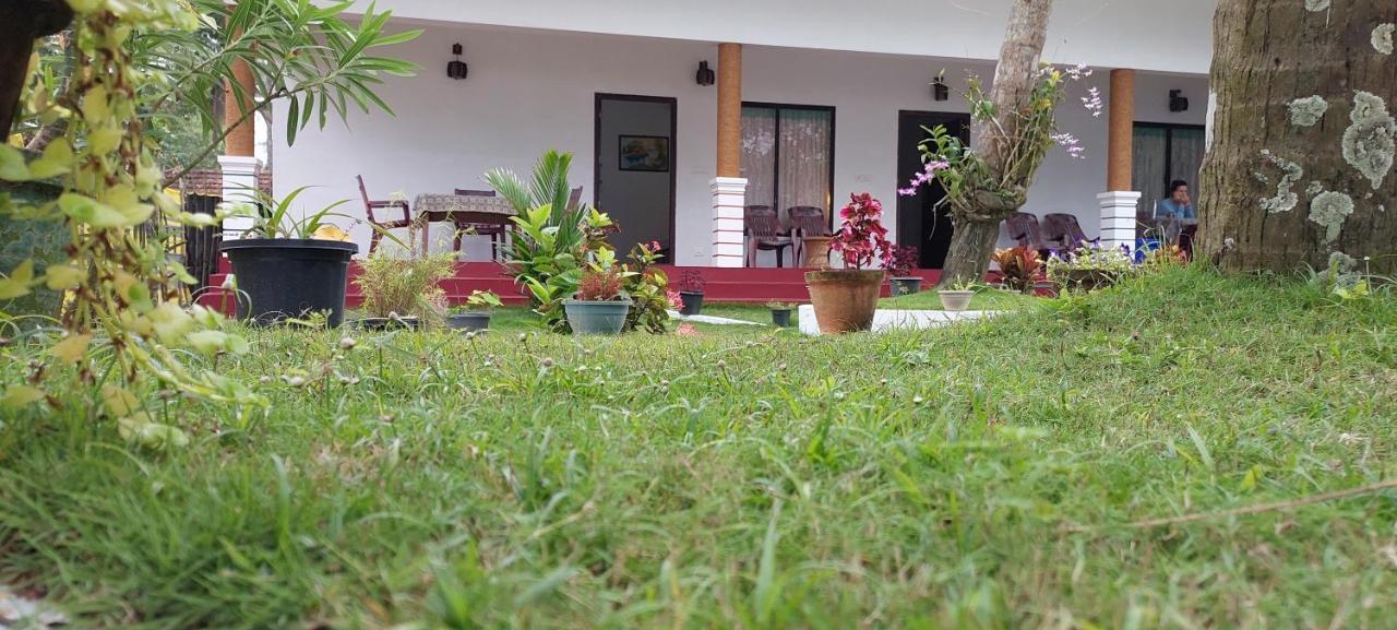 Marari Phoenix Beach Homestay Mararikulam Kültér fotó